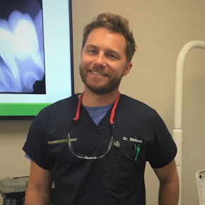 Cayce Wallace Dentist